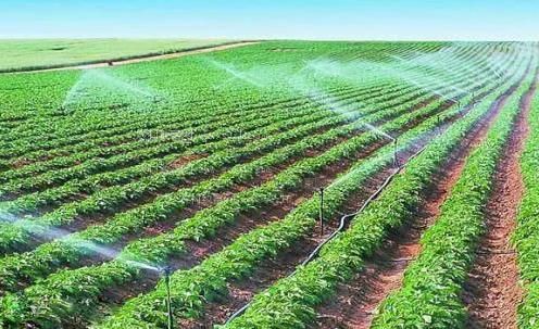 欧美操逼视频免费观看农田高 效节水灌溉
